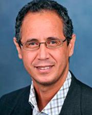 Majid Hannoum